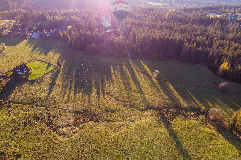 Działka rolna na sprzedaż Kościelisko  4 107m2 Foto 10