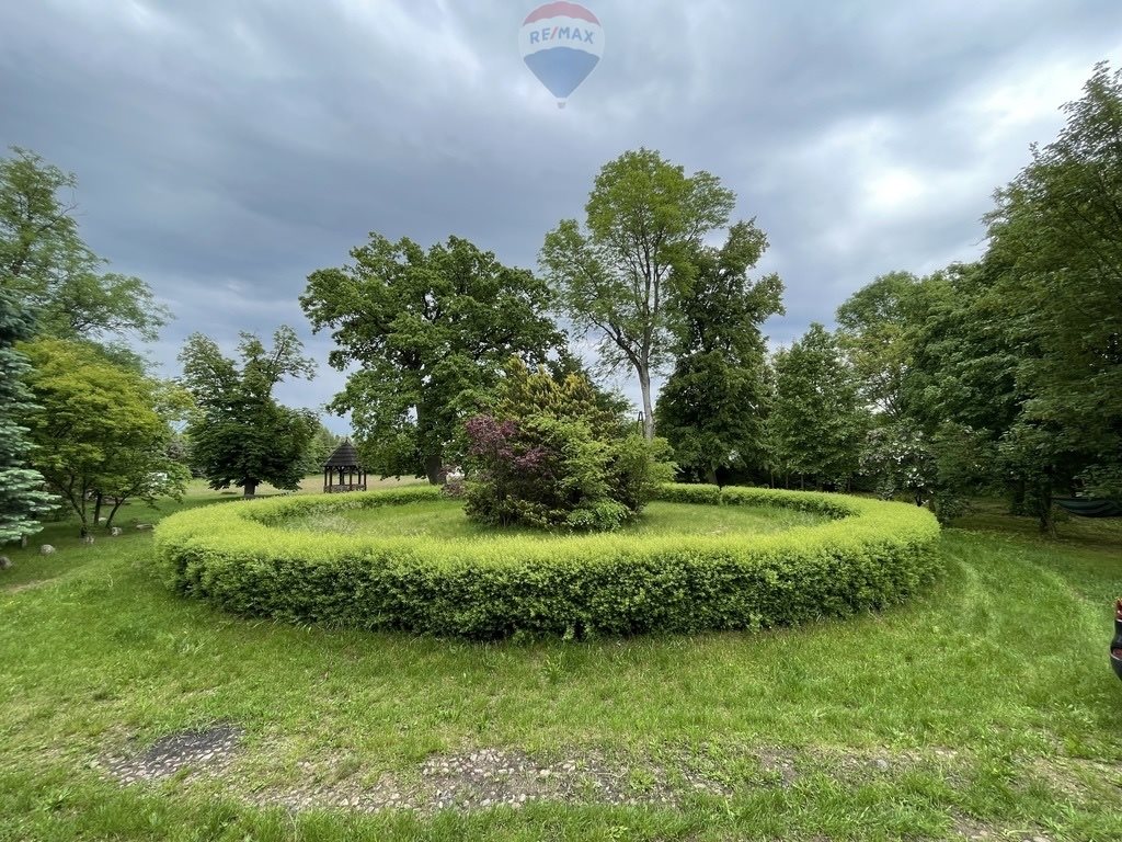 Lokal użytkowy na sprzedaż Kolonia Paplin  1 020m2 Foto 4