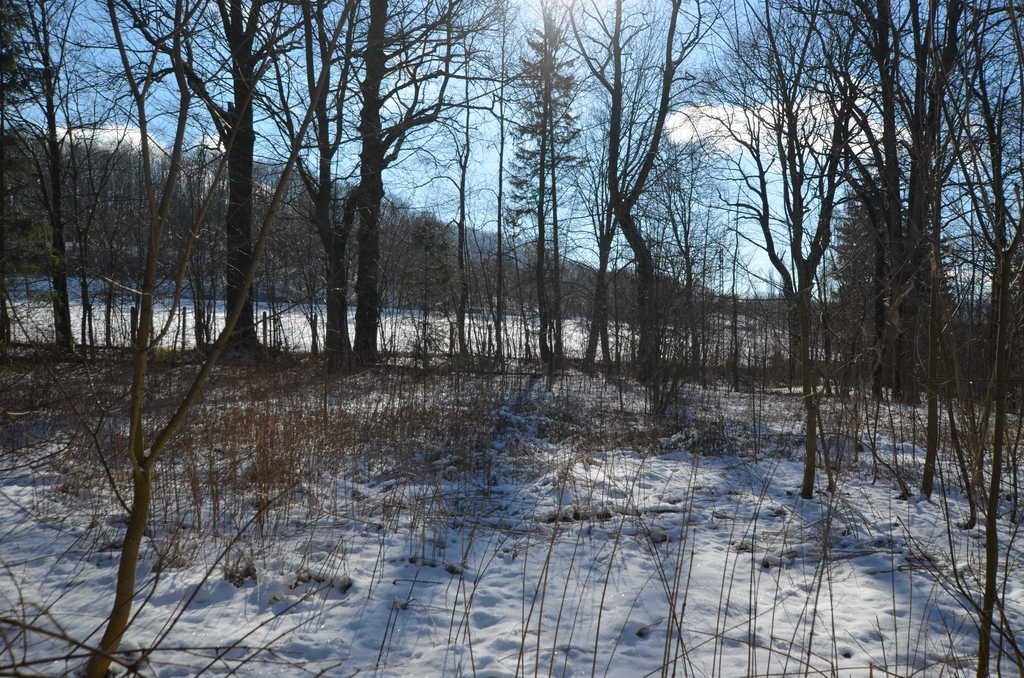 Lokal użytkowy na sprzedaż Mysłów  2 300m2 Foto 6