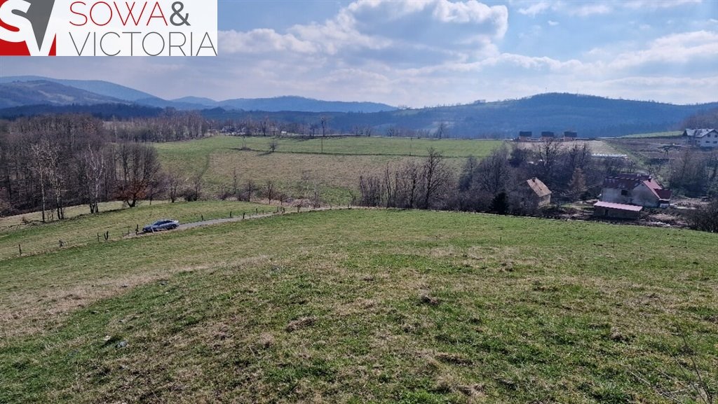 Działka budowlana na sprzedaż Zagórze Śląskie  2 100m2 Foto 12