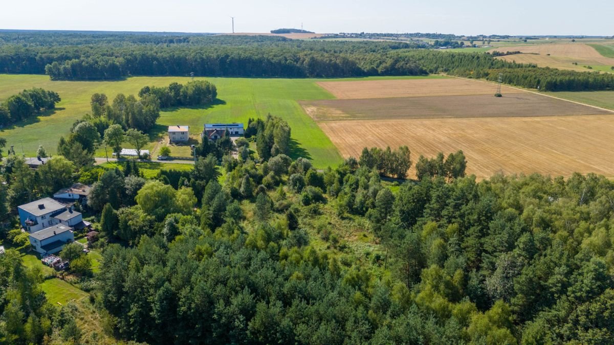 Działka budowlana na sprzedaż Woźniki, Sulów  1 319m2 Foto 11