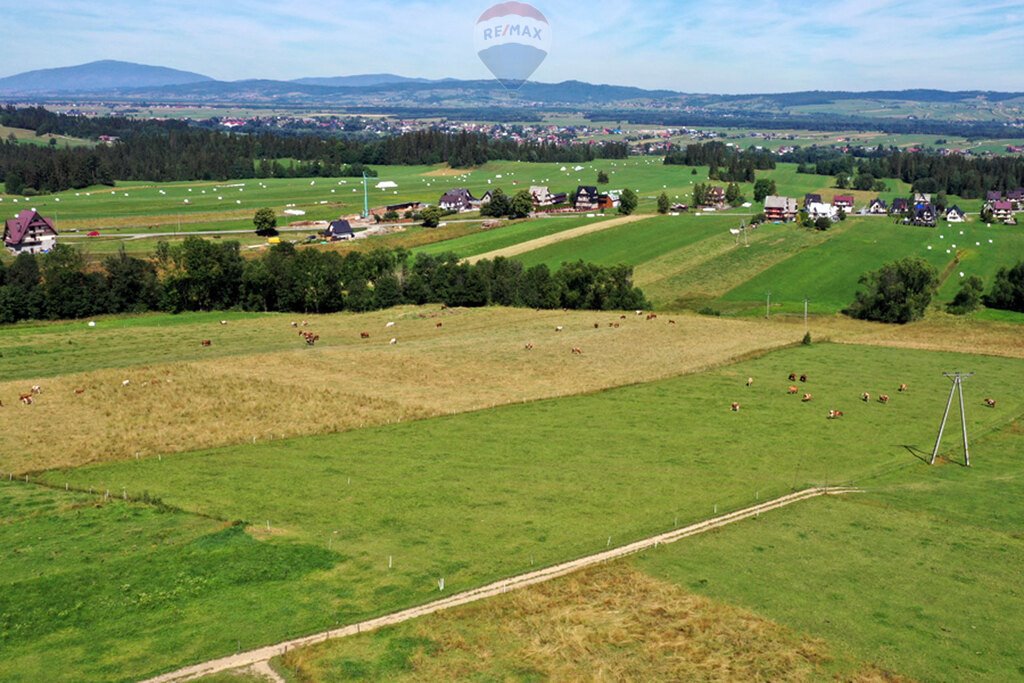 Działka budowlana na sprzedaż Maruszyna  9 650m2 Foto 2