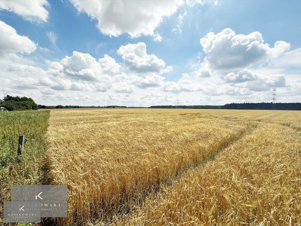 Działka inna na sprzedaż Namysłów, Smarchowice Wielkie-Apostoły  878m2 Foto 5