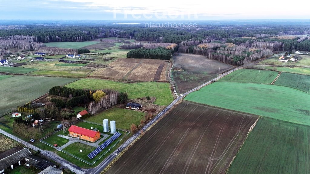 Działka budowlana na sprzedaż Frednowy  10 044m2 Foto 3