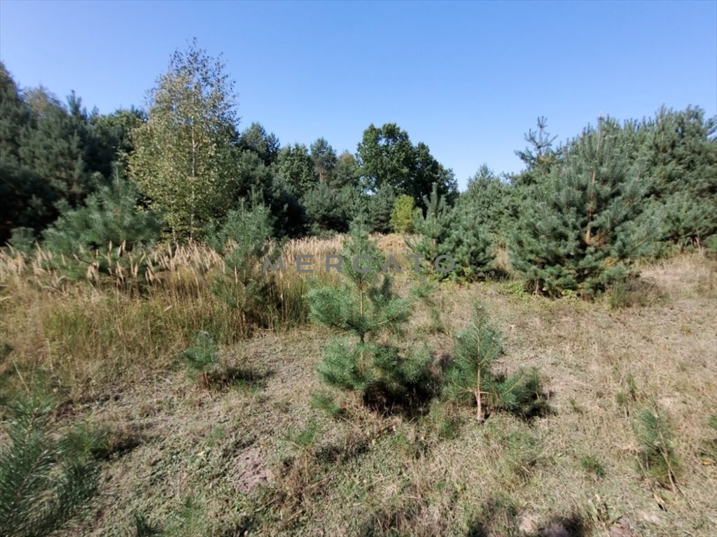 Działka budowlana na sprzedaż Marianów  3 000m2 Foto 7