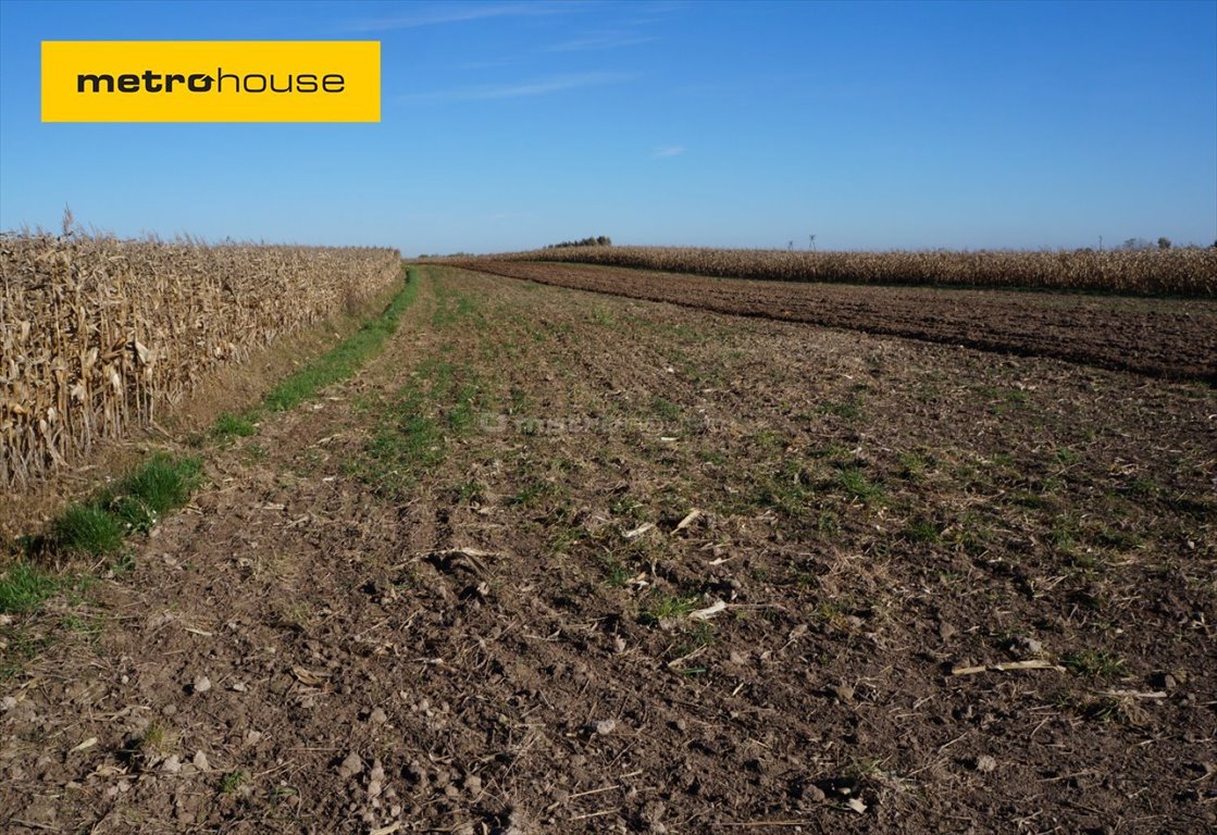 Działka inna na sprzedaż Nowosielce  3 400m2 Foto 1