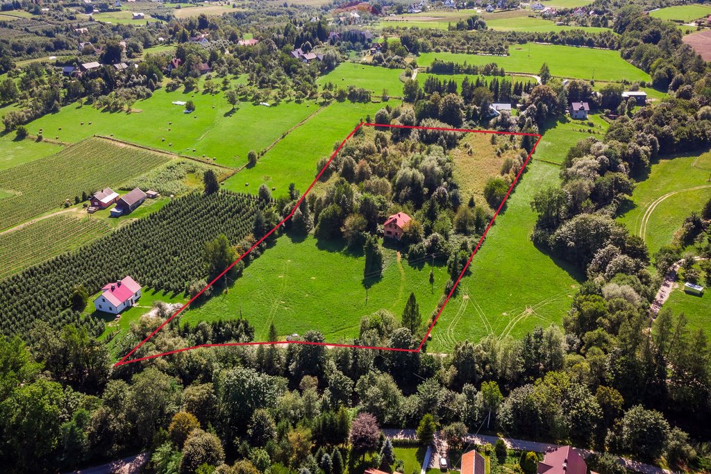 Działka inwestycyjna na sprzedaż Pogorzany  20 200m2 Foto 2