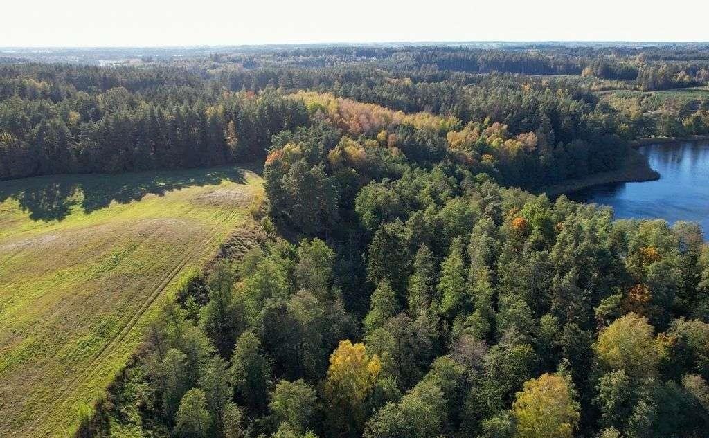Działka rolna na sprzedaż Ramsowo  6 195m2 Foto 12
