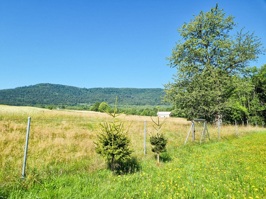 Dom na sprzedaż Ponikwa  440m2 Foto 4