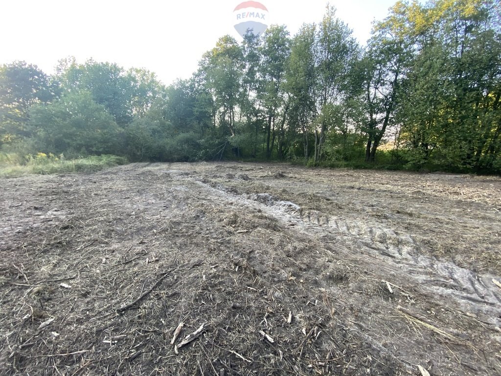 Działka budowlana na sprzedaż Siestrzeń, Łąkowa  1 079m2 Foto 1