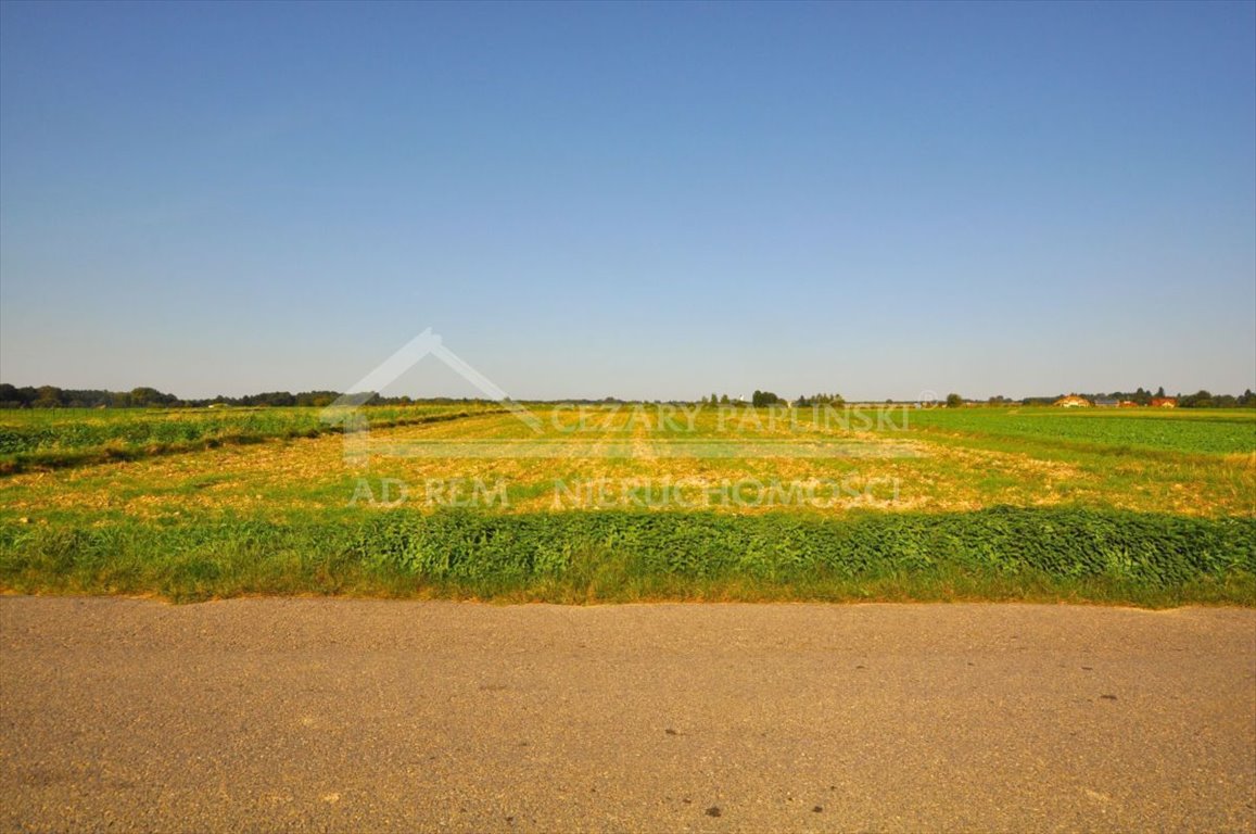 Działka budowlana na sprzedaż Radawiec Mały, Radawiec Mały  2 800m2 Foto 13