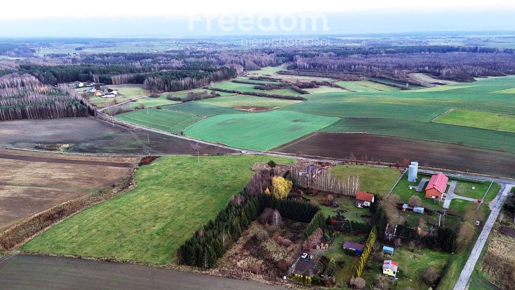 Działka budowlana na sprzedaż Frednowy  10 044m2 Foto 4