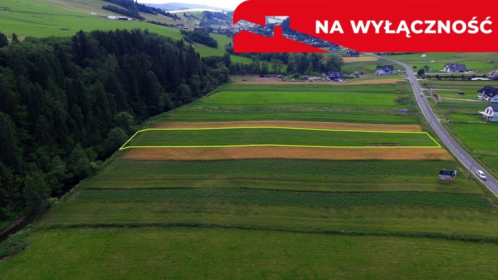 Działka budowlana na sprzedaż Łapsze Niżne  3 680m2 Foto 1