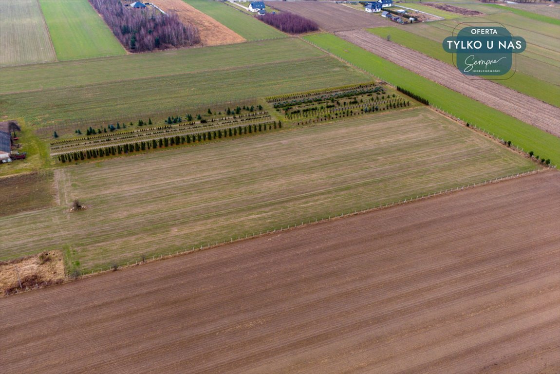 Działka budowlana na sprzedaż Paprotnia  1 000m2 Foto 11