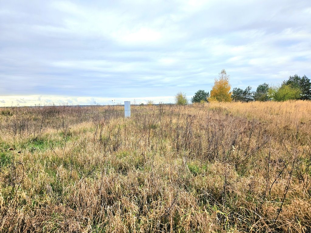 Działka budowlana na sprzedaż Moryń, Owocowa  944m2 Foto 7