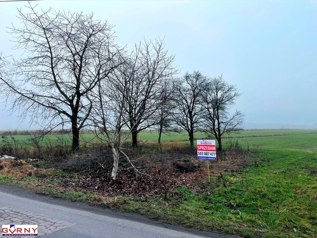 Działka 2000 m² pod dom jednorodzinny w Uszczynie Uszczyn  2 000m2 Foto 1