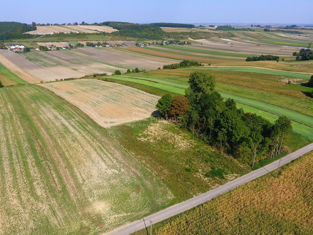 Działka rolna na sprzedaż Racławice  11 100m2 Foto 10