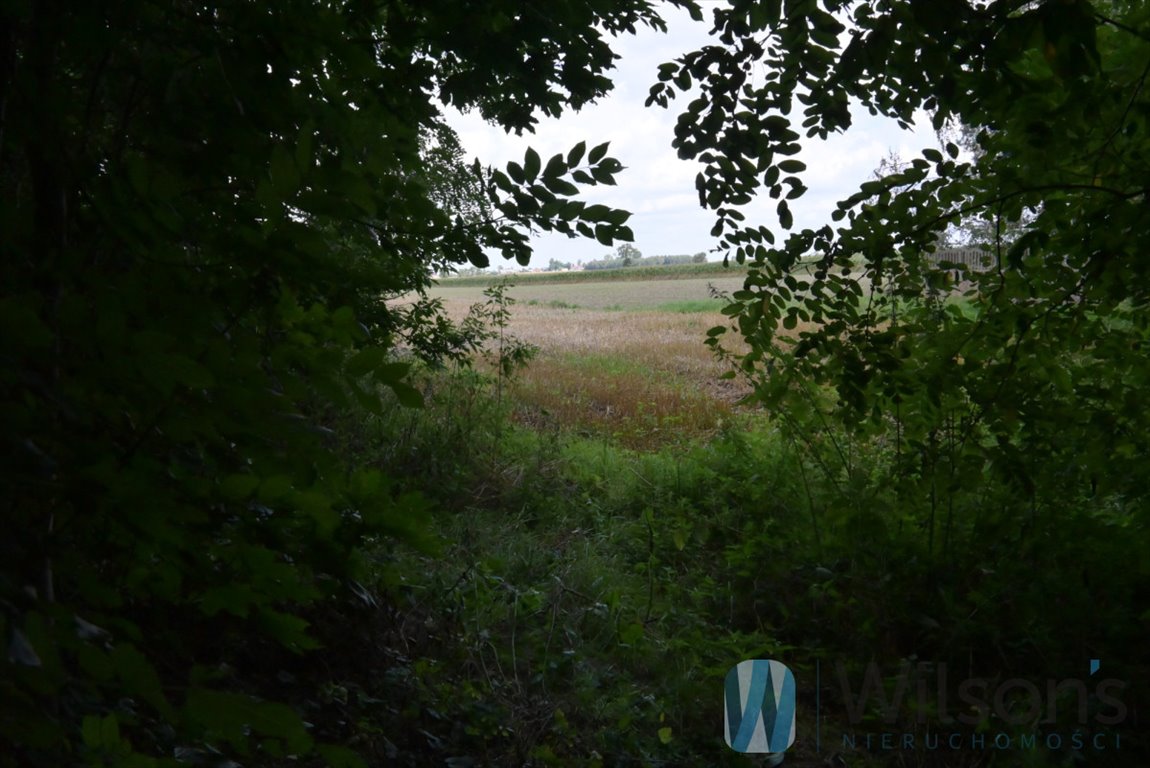 Działka rolna na sprzedaż Zakrzew  16 300m2 Foto 3