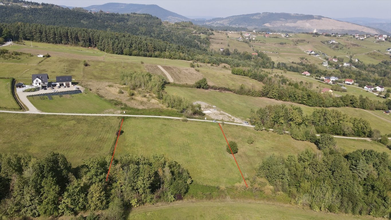 Działka budowlana na sprzedaż Chełmiec, trzetrzewina  6 700m2 Foto 6