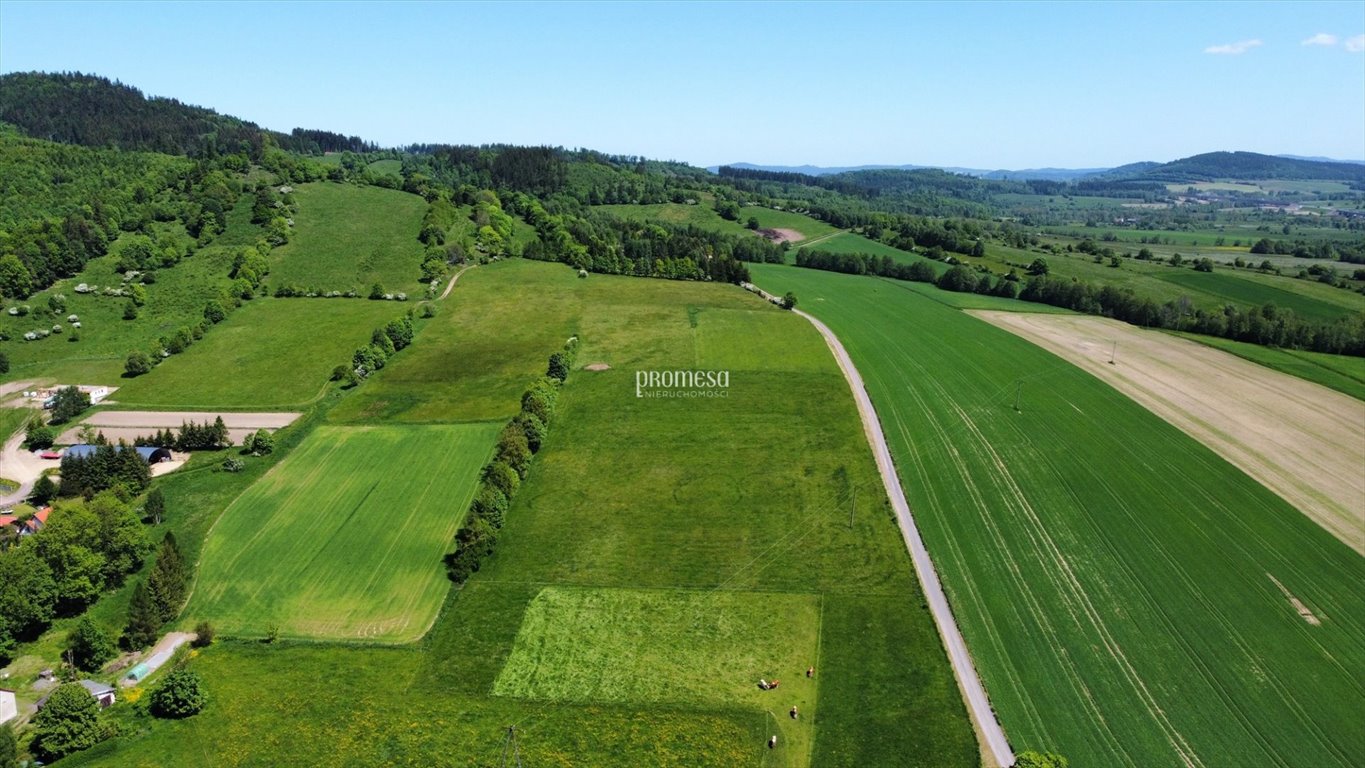 Działka budowlana na sprzedaż Nozdrzec, Sanocka  1 700m2 Foto 3