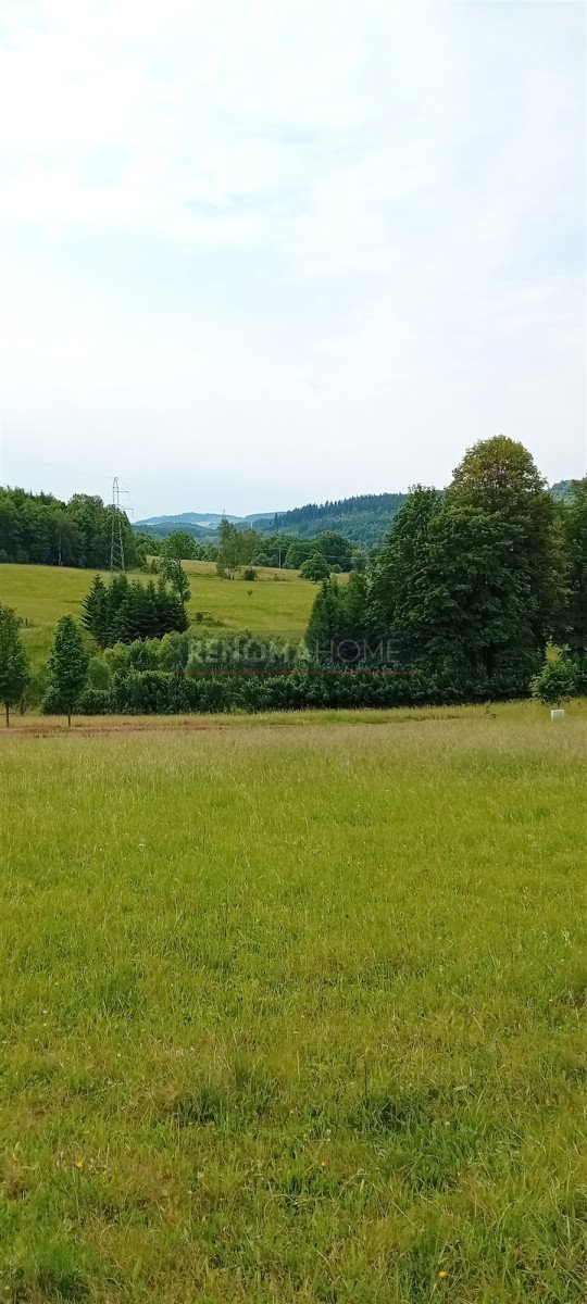 Działka budowlana na sprzedaż Głuszyca  1 341m2 Foto 4