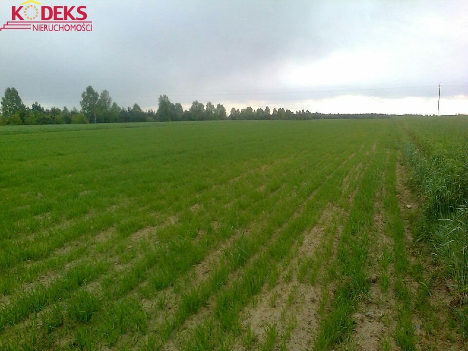 Działka rolna na sprzedaż Borkowo 17 474m2 Foto 1 Działka rolna na sprzedaż Borkowo 17 474m2 Foto 1