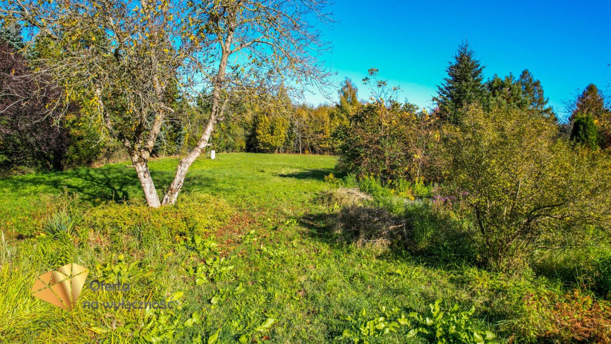 Działka budowlana na sprzedaż Dąbrowica  1 100m2 Foto 2