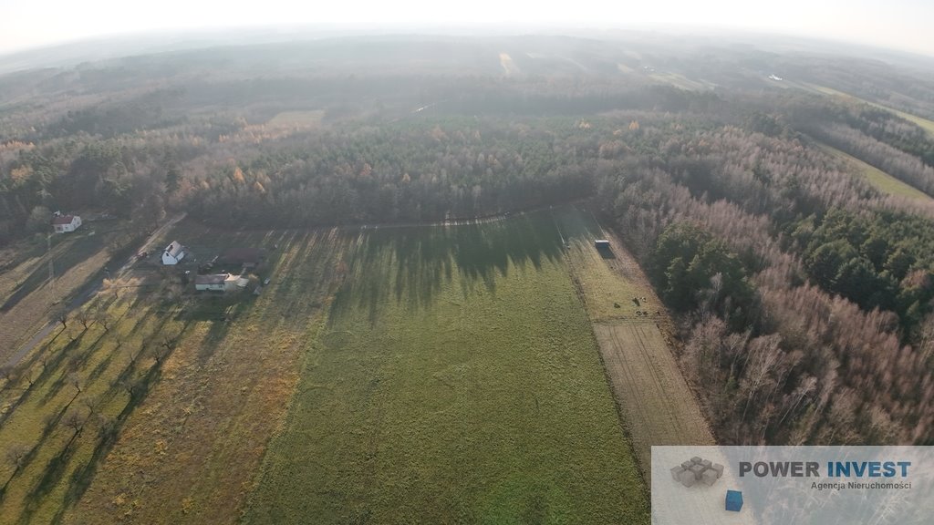 Działka budowlana na sprzedaż Powązki  9 700m2 Foto 4