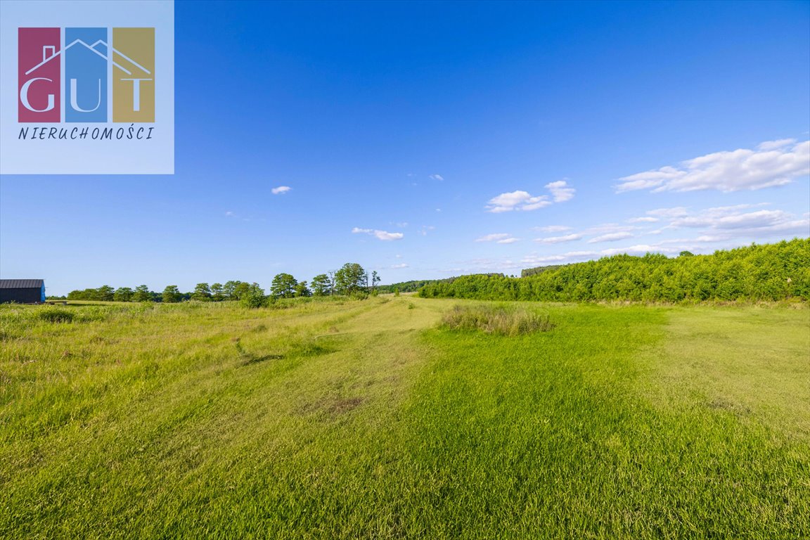 Działka budowlana na sprzedaż Blanki  3 922m2 Foto 11