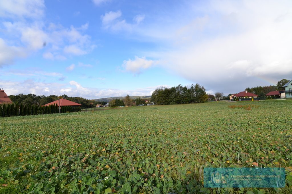 Działka budowlana na sprzedaż Bachórzec  1 900m2 Foto 2