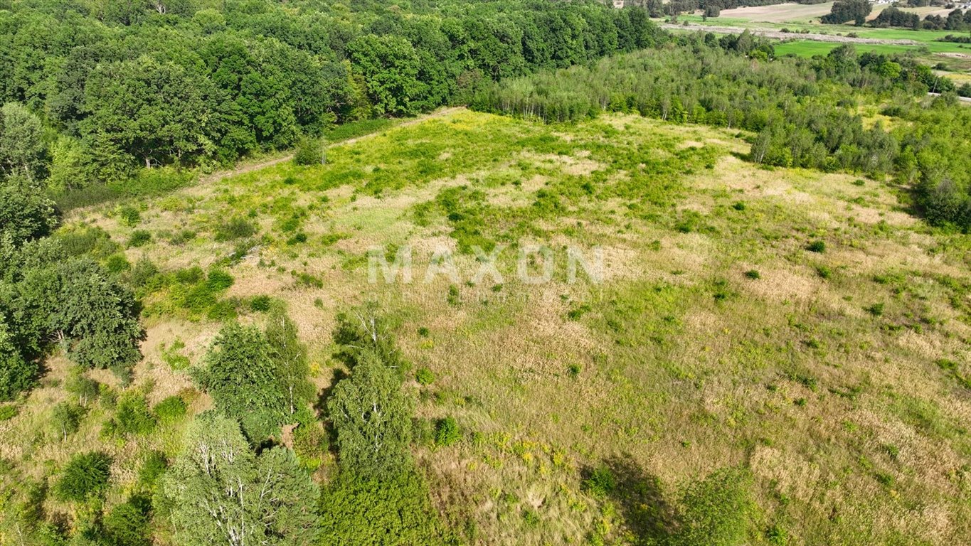 Działka budowlana na sprzedaż Runów  15 924m2 Foto 14