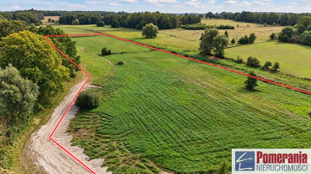 Do sprzedania działka 32 284 m² z warunkami zabudowy w Radzanek Radzanek  32 284m2 Foto 1
