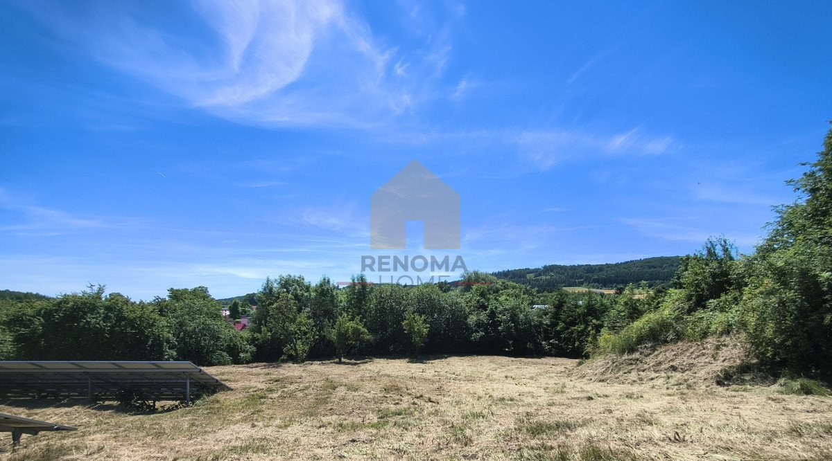 Sprzedam działkę 2653 m² w Witoszowie Górnym z pięknymi widokami Witoszów Górny  2 653m2 Foto 1