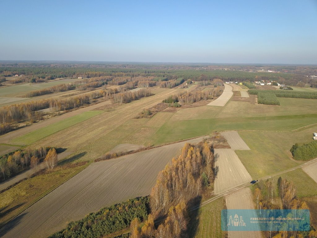 Działka rolna na sprzedaż Sędziszów Małopolski  4 000m2 Foto 4