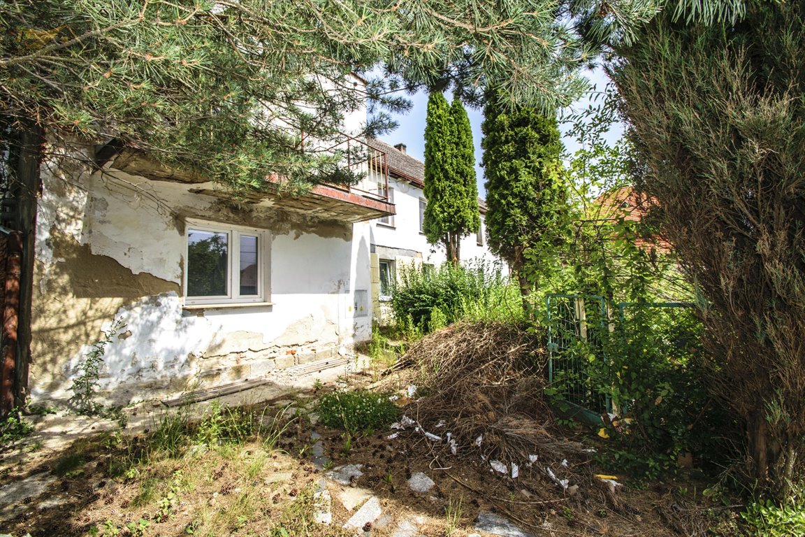 Dom do remontu z dużym potencjałem i działką 1800 m2 Witków  160m2 Foto 1