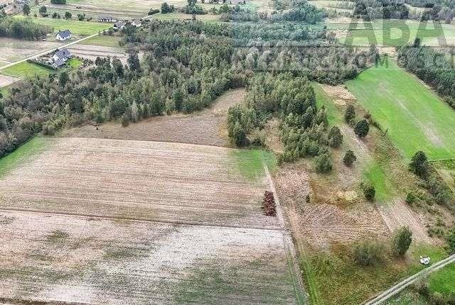 Działka rolna na sprzedaż Brzózki  30 500m2 Foto 4