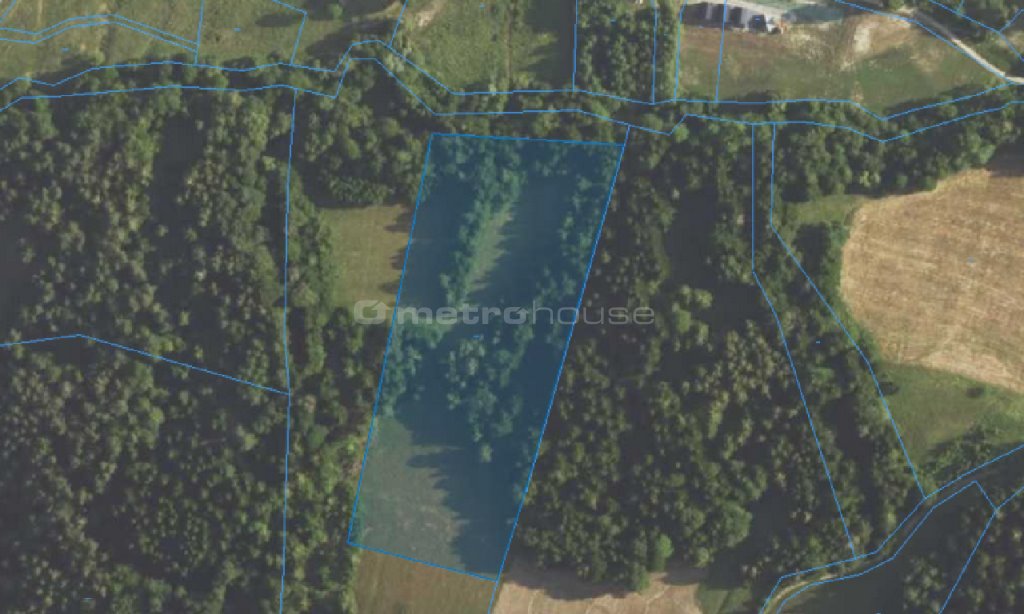 Działka leśna na sprzedaż Paszowa  19 716m2 Foto 1