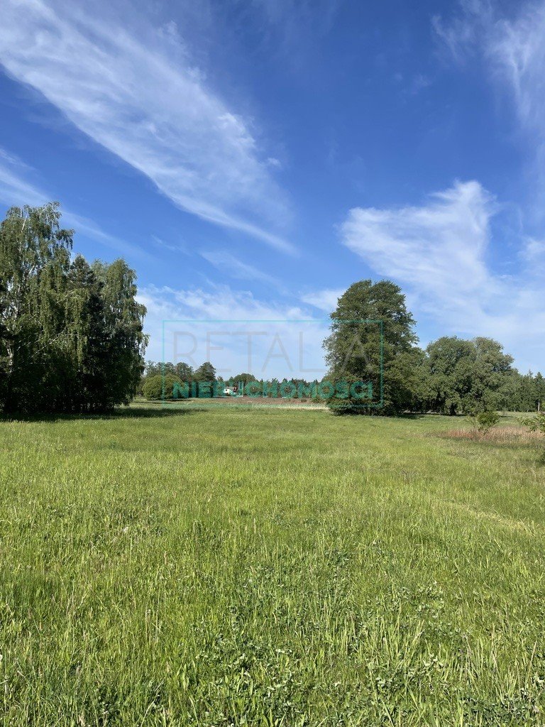 Działka budowlana na sprzedaż Walendów  1 000m2 Foto 4