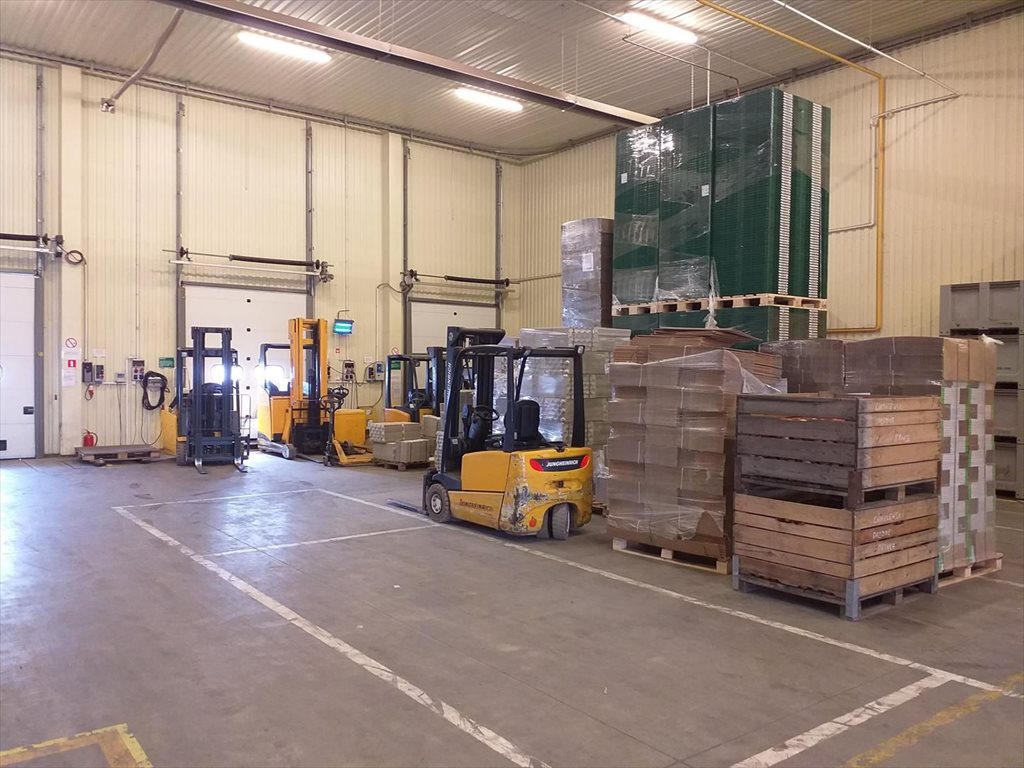 Lokal użytkowy na sprzedaż Białobrzegi 2 000m2 Foto 1 Lokal użytkowy na sprzedaż Białobrzegi 2 000m2 Foto 1