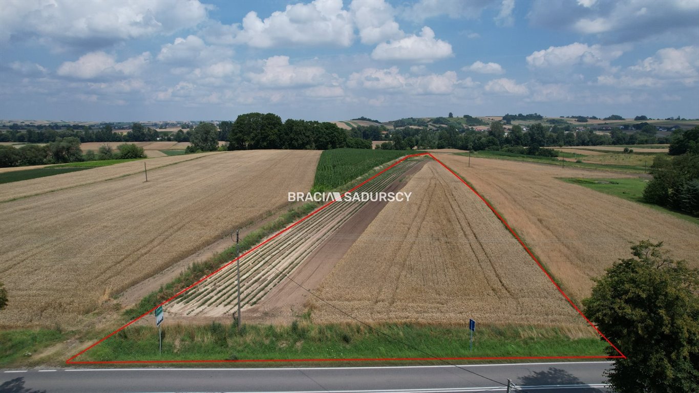 Działka budowlana na sprzedaż Niegardów  4 900m2 Foto 3