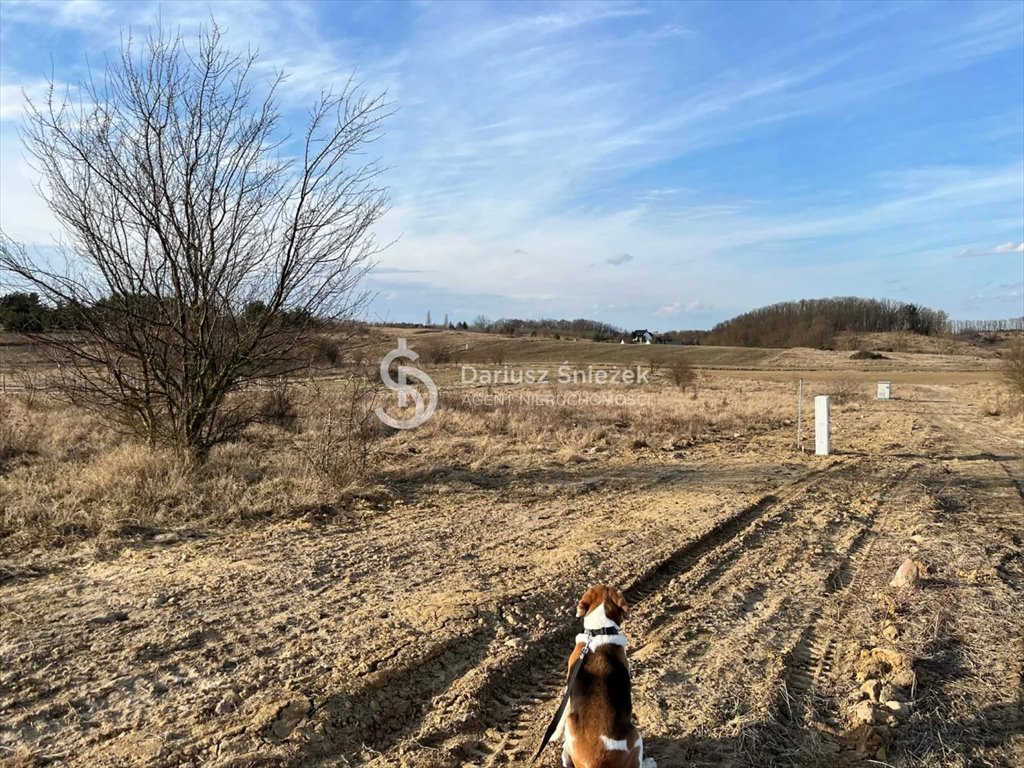 Działki pod lasem w Czepinie, 939-952 m², szybki dojazd Czepino  939m2 Foto 1