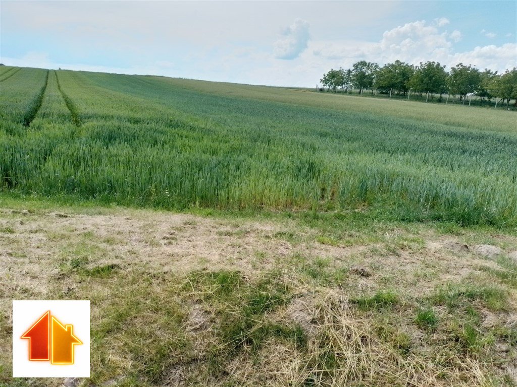 Polecam dwie działki 58 arów przy drodze asfaltowej w Grodzisku Dolnym Grodzisko Dolne  5 008m2 Foto 1