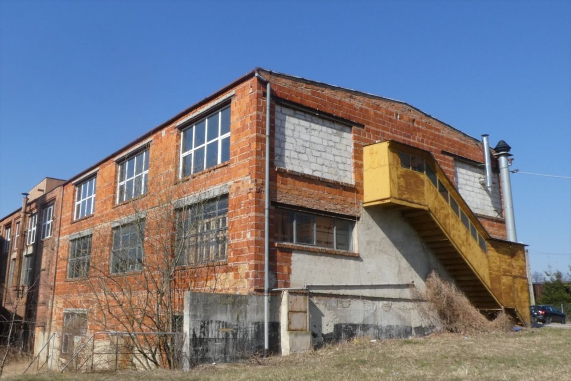 Lokal użytkowy na sprzedaż Środa Śląska, Ciechów  2 400m2 Foto 5