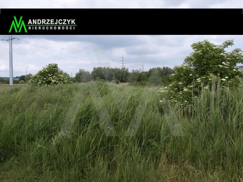 Działka przemysłowo-handlowa pod dzierżawę Gdańsk, Rudniki, TAMA PĘDZICHOWSKA 24 900m2 Foto 1 Działka przemysłowo-handlowa pod dzierżawę Gdańsk, Rudniki, TAMA PĘDZICHOWSKA 24 900m2 Foto 1