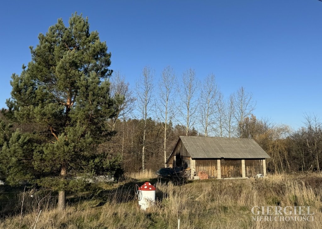 Działka z fundamentem i budynkiem w Zagorzycach 10 600 m2 Zagorzyce  10 600m2 Foto 1