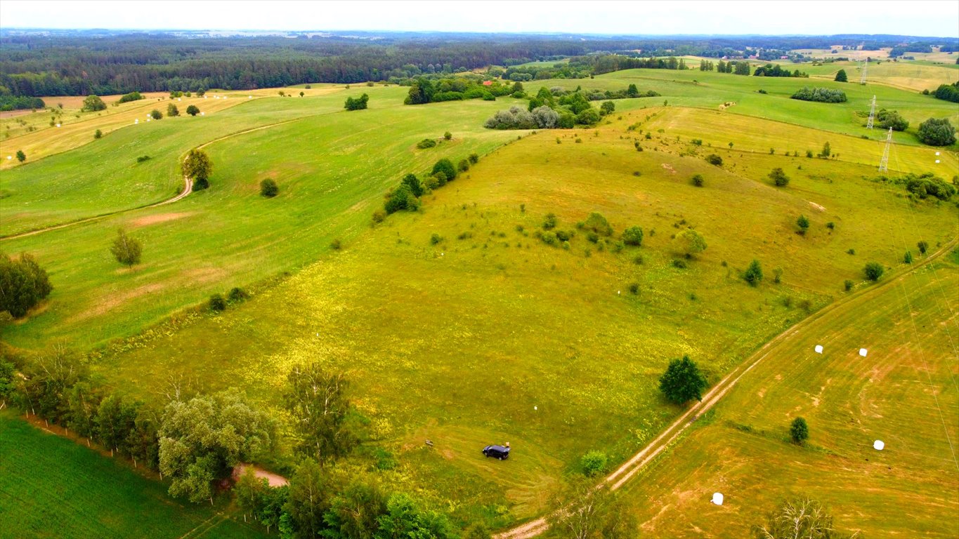 Działka budowlana na sprzedaż Wężówka  3 502m2 Foto 1