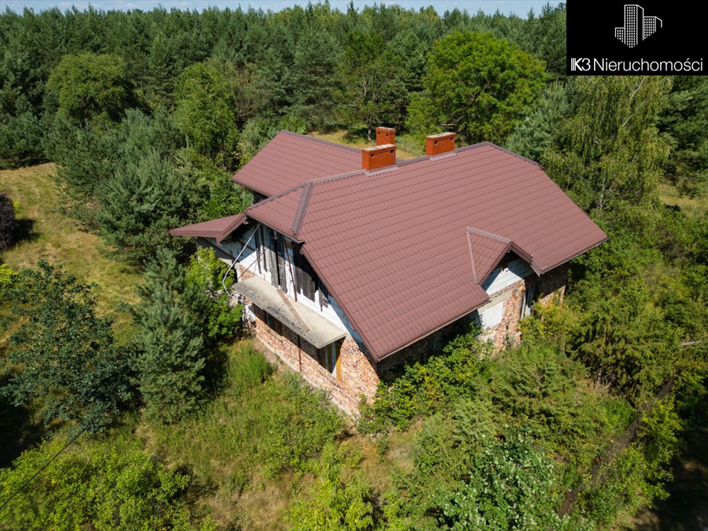 Działka budowlana na sprzedaż Orzełek  80 000m2 Foto 1