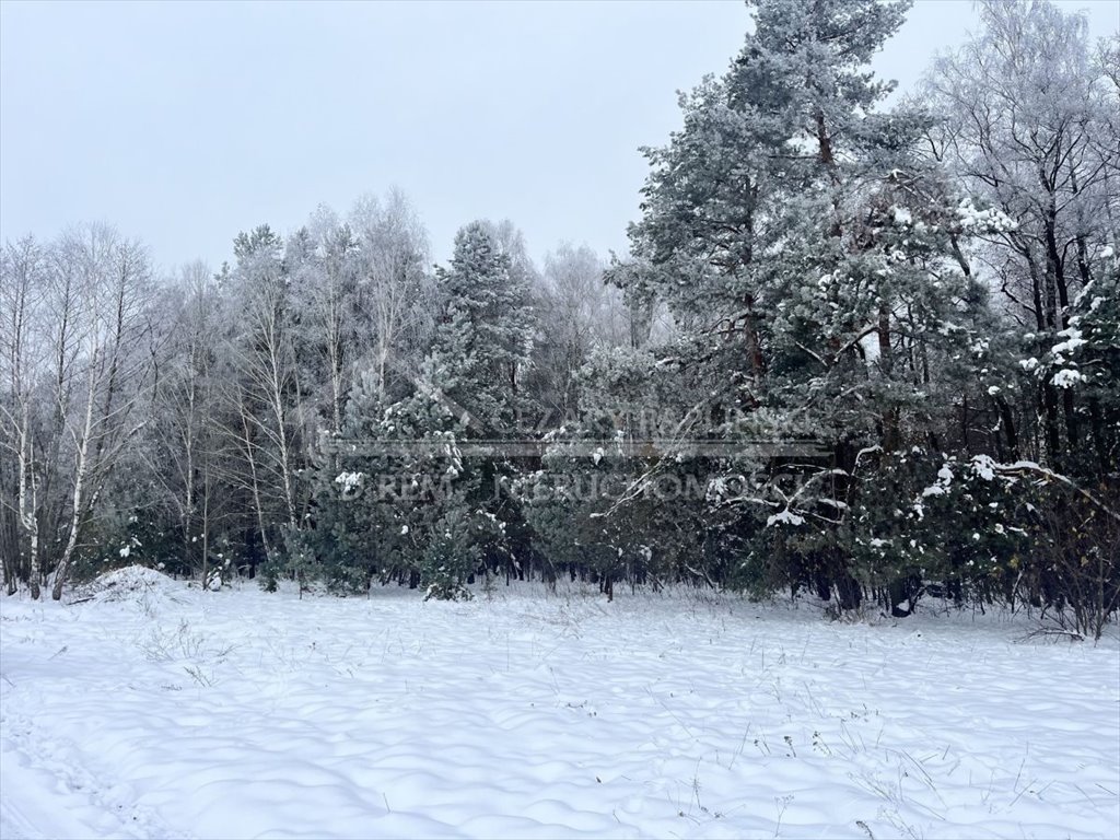 Zdjęcie 3
