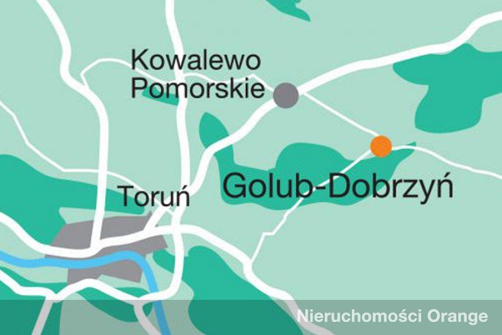 Lokal użytkowy na sprzedaż Golub-Dobrzyń, ul. Młyńska 1 - 2  364m2 Foto 1