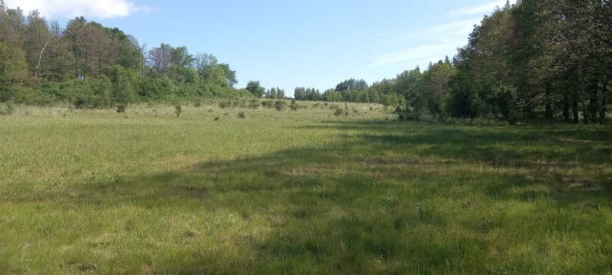 Działka rekreacyjna na sprzedaż Myślinów, Myślinów  3 001m2 Foto 4